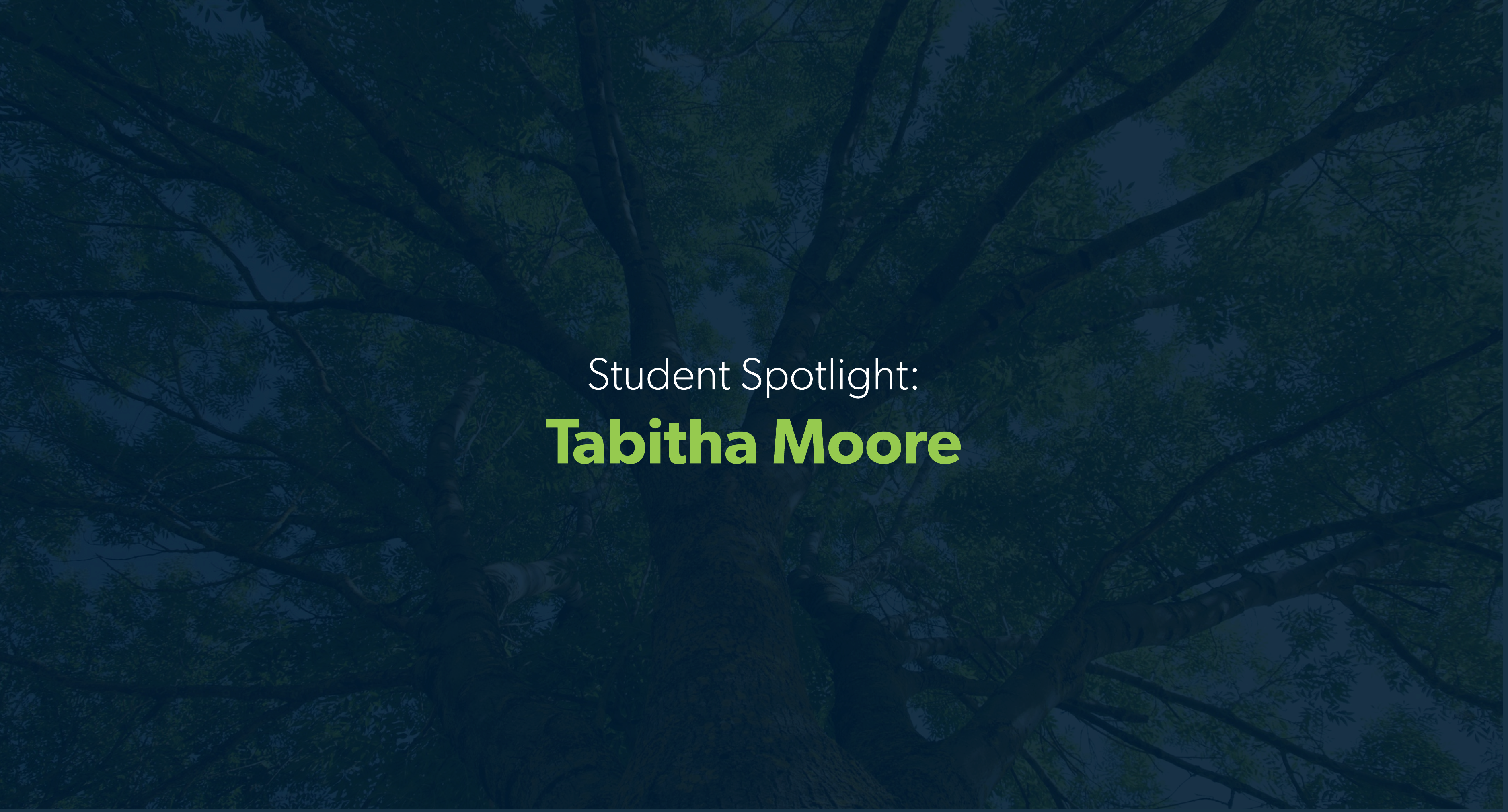 Image of tree branches with transparent navy blue overlay and white and lime green lettering